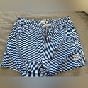 Blue and White Striped Swim Shorts